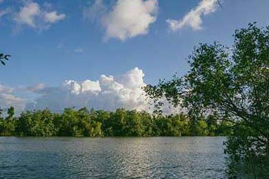 太阳击败尼克斯，常规赛巅峰对决中杜兰特锁死对手，太阳对尼克斯聚胜顽球汇