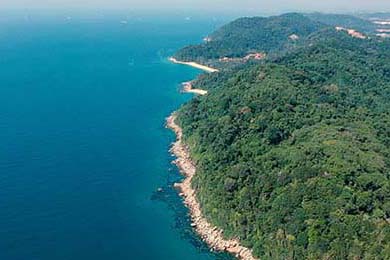 多特蒙德前锋连续演零射门，球迷对其能力存疑，多特蒙德队